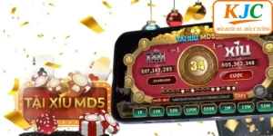 Năm 2024: Tín Hiệu Thay Đổi Cho Luật Cá Cược Việt Nam ?